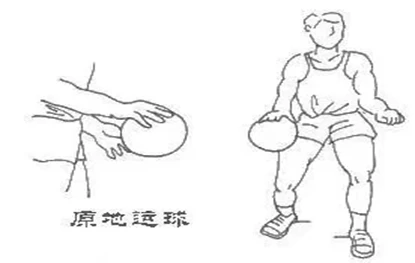 青少年篮球训练的影响因素及对策研究_0